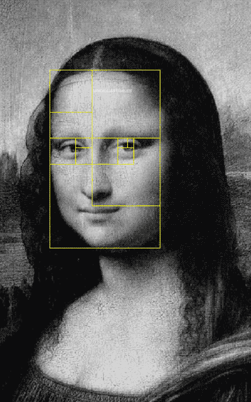 Mapa del rostro de la Gioconda hecho con 
          rectángulos áureos