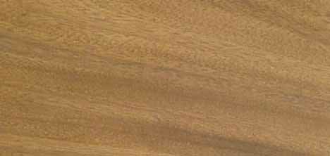 Textura y apariencia de la madera de iroko